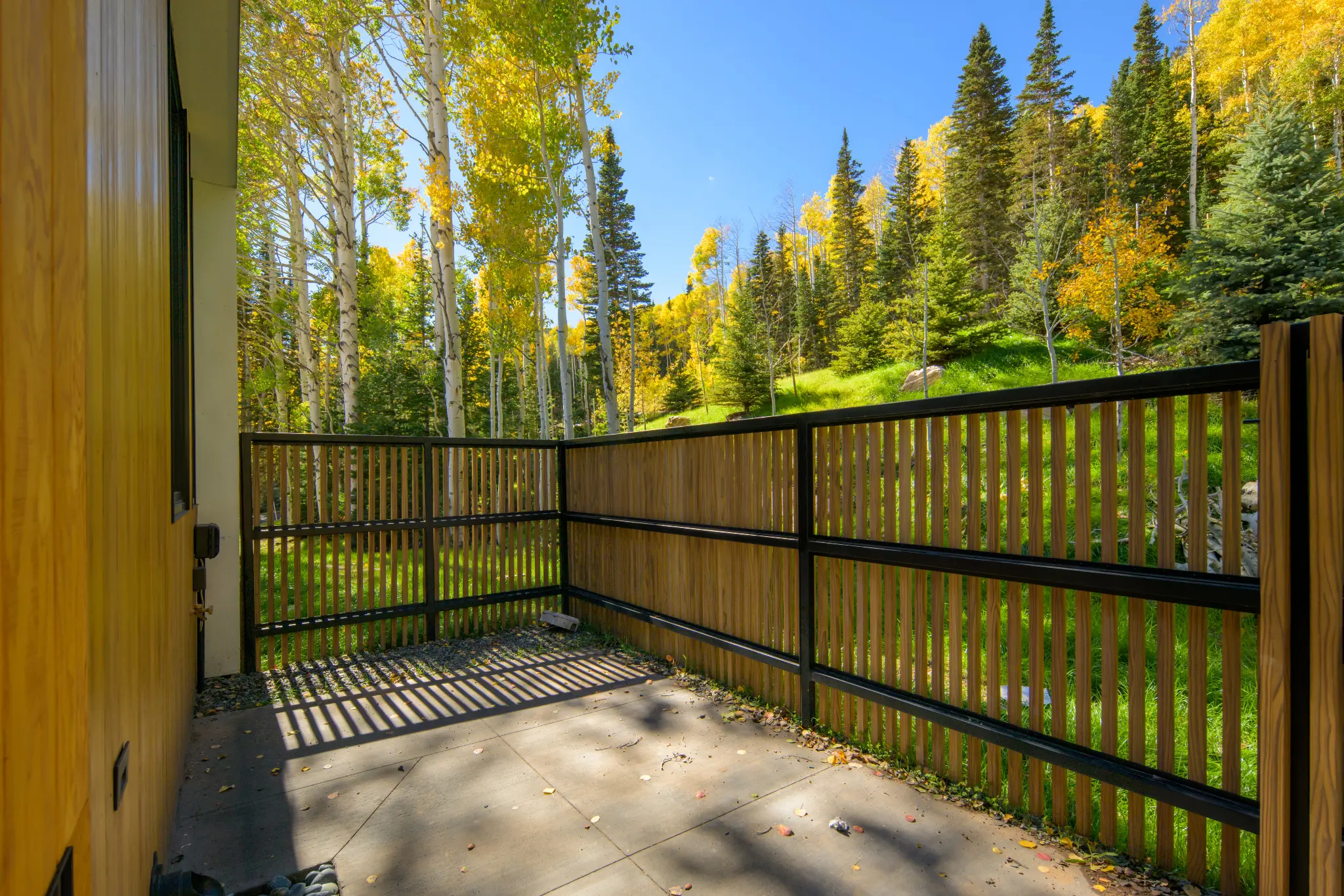 White Pine Canyon – 2023 — photo 43